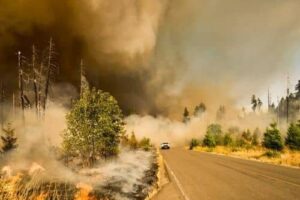 ¿Cómo actuar si ves un incendio mientras conduces? Recomendaciones para mantener la calma