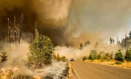 ¿Cómo actuar si ves un incendio mientras conduces? Recomendaciones para mantener la calma