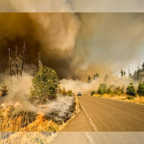 ¿Cómo actuar si ves un incendio mientras conduces? Recomendaciones para mantener la calma